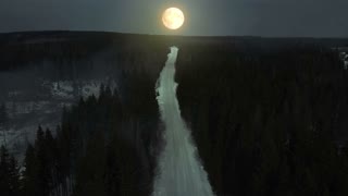 videoblocks-mysterious-forest-in-night-time-and-fog-bright-full-moon-light-and-trees-shadow-aerial-view_rufa0lboe_thumbnail-small01